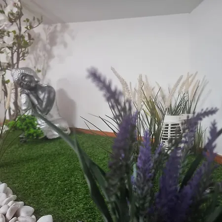 Apartamento Familia Azevedo *